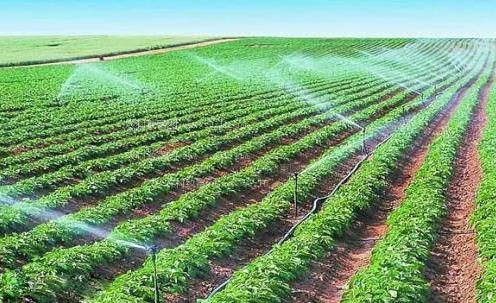 大鸡巴操嫩穴视频农田高 效节水灌溉